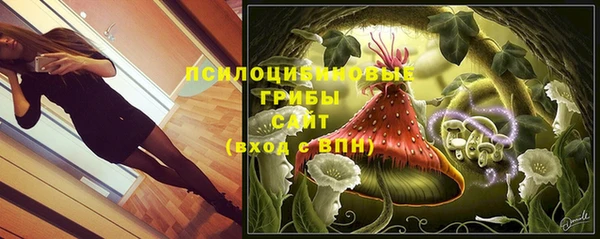 гашик Белоозёрский