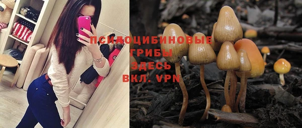 apvp Беломорск