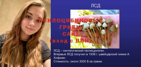 гашик Белоозёрский
