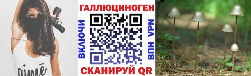Купить  Луховицы  Псилоцибиновые грибы Psilocybe 